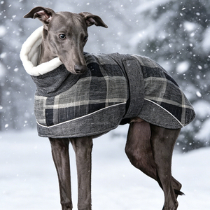 Ropa para Mascotas, Chaqueta para Perro, Ropa <span class=keywords><strong>de</strong></span> Invierno para Perros Galgos, Hunde Zubehor, Abrigo para Perro Greyhound, Whippet, Lurcher - Product Image 6