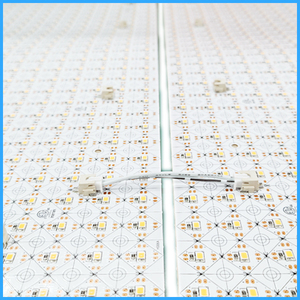 Dc24v SMD2835 Chất lượng cao Flex LED tấm ánh sáng 3-5years bảo hành Warm trắng mát CCT RGB RGBW LED Sheets đối với đèn nền - Product Image 4