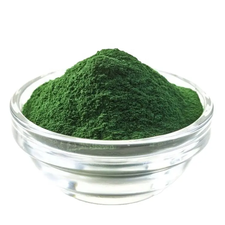 Natuurlijke Chlorella Pyrenoidosa Poeder Chlorella Poeder Kruiden Extract Poeder