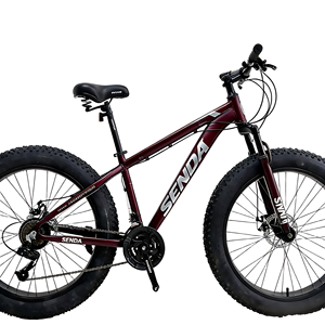 <span class=keywords><strong>Bicicleta</strong></span> de <span class=keywords><strong>Trekking</strong></span> Híbrida de Nieve de Aleación de Aluminio de 26 Pulgadas, Directo de Fábrica, con 24 Velocidades, Frenos de Disco y Horquilla de Acero para Uso Todoterreno - Product Image 4