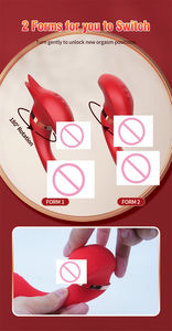 Diskon besar mainan seks silikon pasangan wanita Vibrator penghisap rotasi kepala ganda elektrik tahan air dapat diisi ulang - Product Image 4