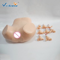 Modèle d'examen gynécologique avancé / pour la formation aux examens bimanuels et rectovaginale, avec col de utérus interchangeable et placement d'DIU