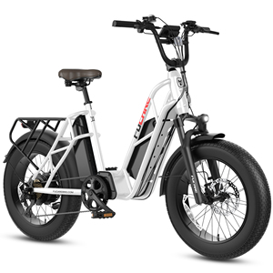Vélo électrique 750W 48V 30Ah 400LBS à double batterie lithium longue portée pour adulte, expédition directe usine - Product Image 1