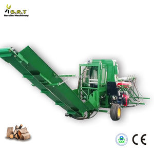 Procesador <span class=keywords><strong>de</strong></span> <span class=keywords><strong>leña</strong></span> con divisor <span class=keywords><strong>de</strong></span> troncos automático, certificado CE - Product Image 3