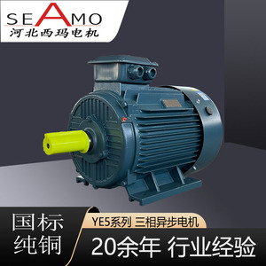 Motor Asíncrono Trifásico Hebei Xima Ye5 de 4 Polos, 2.2-400kw, Totalmente Cerrado, para Equipos Mecánicos - Product Image 2