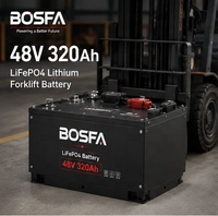 Baterai Forklift Lithium 48V 51.2V 320Ah LiFePO4 untuk Forklift Listrik
