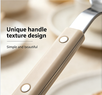 Ensemble de couverts haut de gamme en acier inoxydable 430, manche en plastique à trois rivets, finition polie miroir au laser, style artisanal, vente en gros pour restaurants