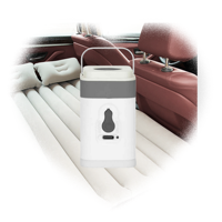 Pompe à air électrique 1200 mAh en gros pour matelas et lits pneumatiques de voiture et camion