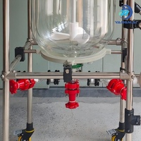 Réacteur en verre à double couche de 80 L de Yangmai Laboratory avec pompe d'alimentation magnétique pour l'alimentation et le agitation des matériaux