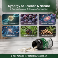 Capsules de Coenzyme NAD Personnalisées en Gros sous Marque Privée – Composés Naturels de NAD pour un Nutriment Cellulaire Quotidien Équilibré