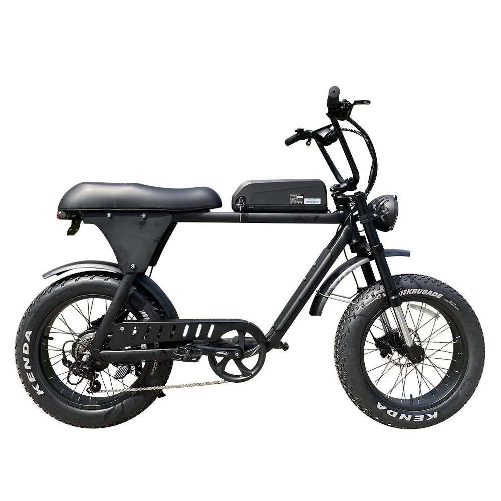 Lantu Ebike High Quality 48v 500w 750w 1000w Bafang Motor Retro Fat Tire Electric Mountain Bike