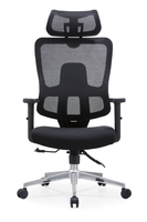 Chaise de conférence en maille plastique Guangdong, chaise de bureau simple, chaise pour personnel, chaise d'ordinateur, confortable, réglable en hauteur, en forme d'arche