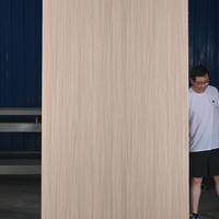 Lembaran Dekoratif HPL (High Pressure Laminate) Tahan Air dan Api untuk Pelapis Dinding Kabinet Rumah