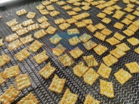 Machine à laminage continu de pâte avec système d'arrosage pour la production de biscuits soda et de biscuits en forme de panda