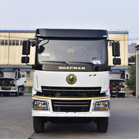Camions bennes basculantes/dumpers Shacman 6X4 10 roues, neufs, de marque chinoise d'origine