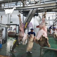 Proyecto llave en mano, equipo de matadero de cordero, máquina despellejadora de ovejas, máquina de matadero de cabras con maquinaria de procesamiento de carne