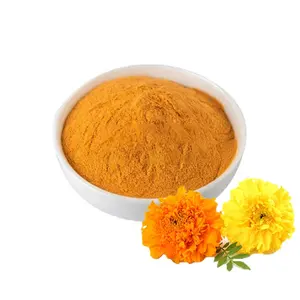 Kualitas Makanan Gratis Sampel Nutrisi Alami Baik untuk Mata 10%-80% Ekstrak Marigold Bubuk Zeaxanthin Massal
