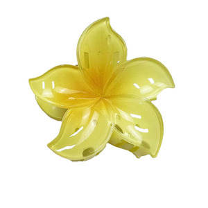 Pinzas de Pelo de Plástico Acrílico con Diseño de Flor y Tiburón, Color Caramelo, para Mujer y Niña, Venta al por Mayor, Ideal para Vacaciones y Turismo - Product Image 5
