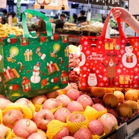 Impression personnalisée conception simple sac cadeau tissé en PP machine à coudre durable pour Noël valeur prix