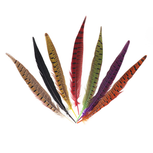 Natural al por mayor Plumas Ringneck faisán Plumas de la cola Pluma de <span class=keywords><strong>Faisan</strong></span> - Product Image 5