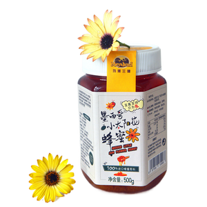 El mejor proveedor certificado 100% Natural puro <span class=keywords><strong>mexicano</strong></span> pequeño girasol miel néctar fuente apicultor empaquetado en botella - Product Image 1