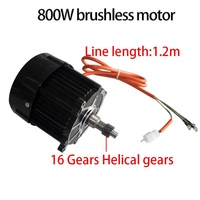 Motor DC Brushless 800W dengan Diferensial, IP54, Efisiensi Tinggi, Magnet Permanen, untuk Trike Listrik, Sepeda Roda Tiga Listrik, Sepeda Listrik