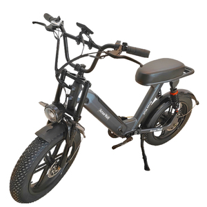 Vélo de Montagne Électrique Sportif en Vente Directe d'Usine, Pneus Larges 20*4, Cadre en Alliage d'Aluminium 48V, Moteur Brushless 250W Double - Product Image 6