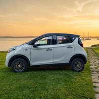 Mini-fourgonnette électrique LSV 4 places fermée, à 4 roues, à faible vitesse, pour les trajets quotidiens en ville pour adultes, directement de l'usine