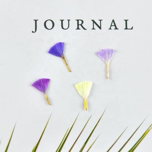 20 pz/pacco dimenticami non/Statice Fortunei/lavanda di mare decorazione artistica per unghie Decal Mini <span class=keywords><strong>fiori</strong></span> naturali pressati - Product Image 2