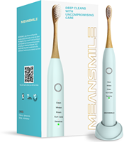 Brosse à dents électrique sonique rechargeable, étanche, manche en bambou, soins bucco-dentaires pour adultes, 5 modes, charge USB, brosse à dents blanchissante, OEM