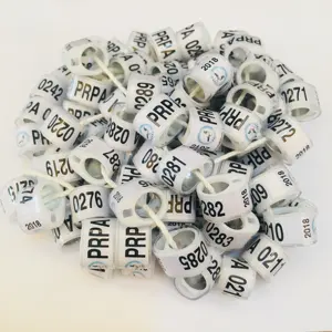 Personalizado BELG paloma anillos para venta Bélgica racing pigeon anillo pájaro