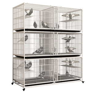 Gaiola Moderna Clássica para Criação de Pássaros com Estrutura de Ferro, Bandeja de Plástico, Design Galvanizado e Reforçado, à Prova de Ratos para Pombos, Codornas e Beija-flores - Product Image 6