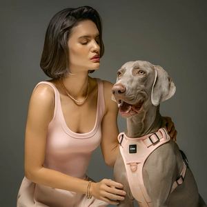 Correa de Nailon Resistente de 2 Piezas para Perros, Color Rosa, para <span class=keywords><strong>Beagle</strong></span>, Shiba Inu, Bulldog Francés, <span class=keywords><strong>Labrador</strong></span> Retriever - Product Image 5