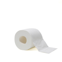 Papier toilette recyclé TPS-R-1000, 1 pli, 1000 feuilles, papier hygiénique, papier toilette en marque privée, rouleau de papier toilette, Carta Igienica