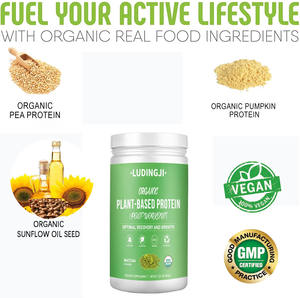 OEM טבעוני אורגני צמח מבוסס חלבון אבקת עבור גוף-בניין שרירים matcha בטעם 560g - Product Image 5