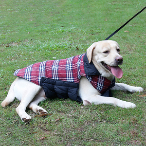 Vêtements de luxe personnalisés <span class=keywords><strong>pour</strong></span> chiens, treillis, collection automne et hiver, grands, moyens et petits animaux de compagnie, <span class=keywords><strong>boutique</strong></span>, 2019 - Product Image 2