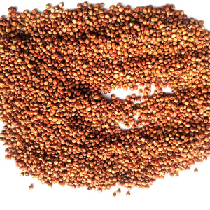 JIATAI Factory Red Sorghum <strong>Seed</strong> for <strong>Bird</strong> Feeding Pet Food - Product Image 5