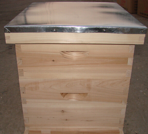 Ruche en bois Langstroth à 2 niveaux, autres équipements d'élevage, ruche à abeilles, équipement d'apiculture - Product Image 5