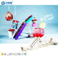 Compleet Verse Granaatappels Sap Extract Productielijn Granaatappel Juicer Sap Maken Vulmachine Voor Kleine Bedrijven