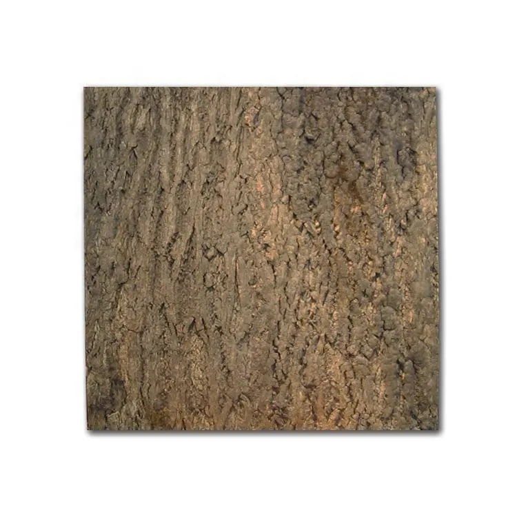 LEECORK – fond en liège d'écorce vierge 60cm de largeur x 60cm de longueur, carreaux d'écorce de liège naturel pour la décoration murale intérieure