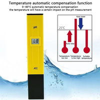 pH-mètre numérique portable Wanbang Industrial, précision 0,1 pH, écran LCD, garantie 1 an, personnalisable ODM/OEM, pour l'eau potable
