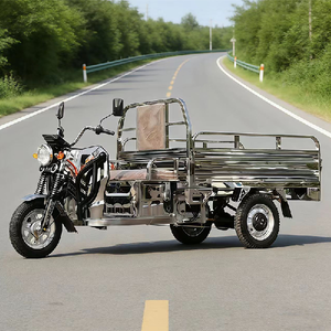 Triciclo de Acero Inoxidable para Transporte de Mercancías, Uso Agrícola y Pesquero, Scooter de Carga Doméstico - Product Image 4