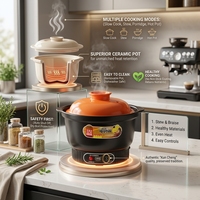 Marmite Électrique en Céramique 5L Économe en Énergie, Contrôle Mécanique, Revêtement Antiadhésif, Contrôle de la Chaleur, Marmite de Cuisson Santé pour la Maison