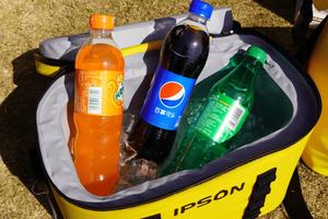 Tas Pendingin Anggur Tpu Kustom Tahan Air Berinsulasi, Tas Pendingin Makan Siang Ikan Buatan Sendiri dengan logo - Product Image 4