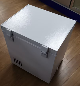 Refrigeración confiable de <span class=keywords><strong>bajo</strong></span> <span class=keywords><strong>consumo</strong></span> de energí<span class=keywords><strong>a</strong></span> para áreas remotas 12V Congelador de arcón solar de tamaño pequeño 50L en Mali - Product Image 3
