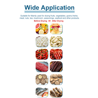 Équipement de séchage solaire industriel pour fruits, tomates, légumes, sécheuse à fruits, machine commerciale pour la viande, le poisson, les aliments, déshydrateur solaire, four