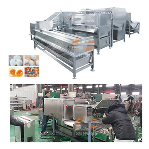 Máy bóc vỏ trứng gà mềm, trứng gà cứng, máy bóc vỏ trứng cút, dây chuyền sản xuất của Sunlinn Industrial để bán - Product Image 3