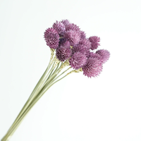 Bouquets de fleurs séchées naturelles élégants et écologiques, longue durée, fraise, paille de blé, Gomphrena Globosa, pour la maison, fête des mères