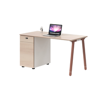 Ensemble de chaises de bureau simples modernes doubles et à cartes pour quatre à six personnes pour le salon