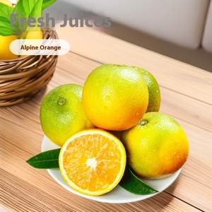 Vente en gros directe <span class=keywords><strong>de</strong></span> jus d'orange d'<span class=keywords><strong>été</strong></span> frais <span class=keywords><strong>de</strong></span> haute montagne Fruits <span class=keywords><strong>de</strong></span> <span class=keywords><strong>saison</strong></span> séchés d'origine-Zigui Origin - Product Image 2